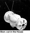 [image of Bion spacecraft]