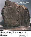 [image of Martian meteorite]