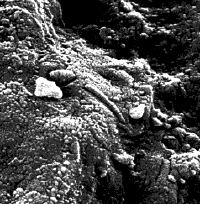 Launch of Soyuz TM-24