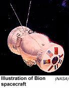 [Image of Bion spacecraft]