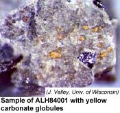 [image of meteorite ALH84001]