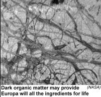 [image of Europa]