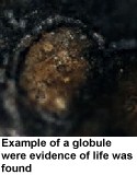[image of globule]